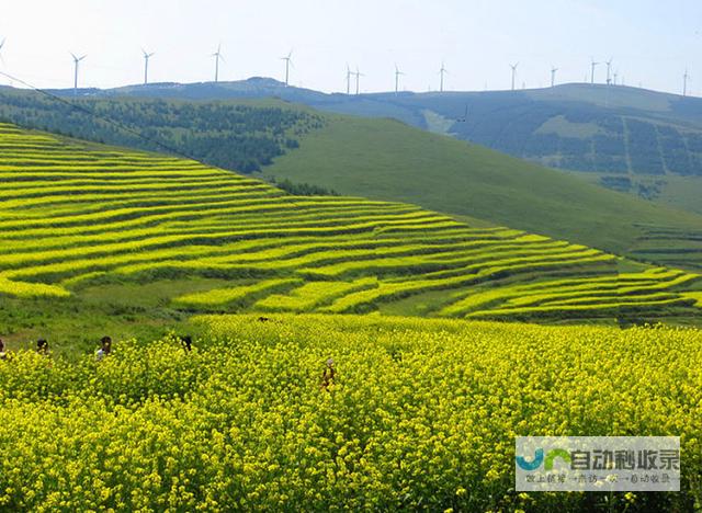 崇礼网：连接崇礼人，分享崇礼事，打造崇礼生活新空间
